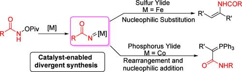 A Metal-Catalyzed Tunable Reaction of Ylides with Hydroxylamine Derivatives
