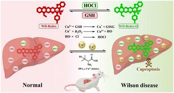 Elucidating cuproptosis-linked redox dynamics in Wilson's disease via a reversible ratiometric fluorescence strategy†