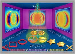 Mapping of multiple plexcitons in disk supershape hybrid nanoparticles†