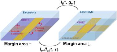 Effect of channel patterning precision on the performances of vertical OECTs†