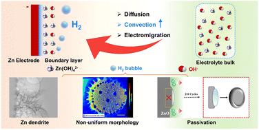 Hydrogen bubble evolution and its induced mass transfer on zinc electrodes in alkaline and neutral media