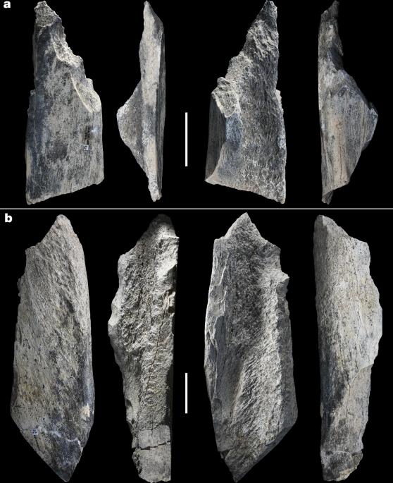 Systematic bone tool production at 1.5 million years ago