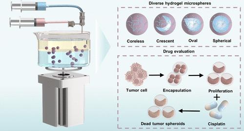 Rapid Fabrication of Diverse Hydrogel Microspheres for Drug Evaluation on a Rotating Microfluidic System