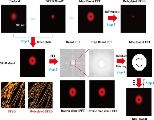Digital Redepleted of Stimulated Emission Depletion Microscopy for Noise Reduction and Resolution Improvement