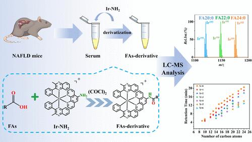 Iridium Isotope Tag-Assisted LC-MS Method for Global Profiling and Quantification of Nonvolatile Serum Fatty Acids in Nonalcoholic Fatty Liver Mice