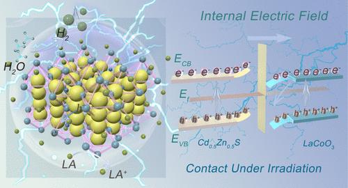 Synergistically Regulating D-Band Centers of Cd0.5Zn0.5S/LaCoO3 Heterojunction by Dual Electric Fields for Enhanced Photocatalytic Hydrogen Evolution