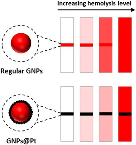 Addressing Hemolysis-Induced Loss of Sensitivity in Lateral Flow Assays of Blood Samples with Platinum-Coated Gold Nanoparticles and Machine Learning
