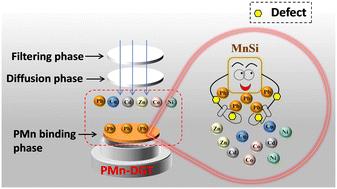 Amorphous manganese silicate/PVDF membrane in the diffusive gradient in a thin-film for selective monitoring of lead†