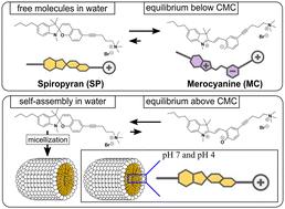 A photo-switchable surfactant possessing a spiropyran-moiety in its backbone – unravelling the structure of micelles with small-angle neutron scattering (SANS) and transmission electron microscopy (TEM)†
