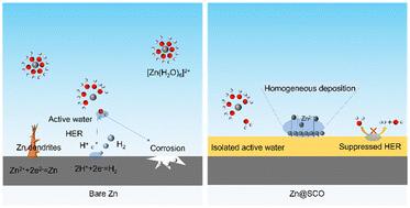In situ generated tin protective layers from stannous oxalate for dendrite-free zinc anodes†