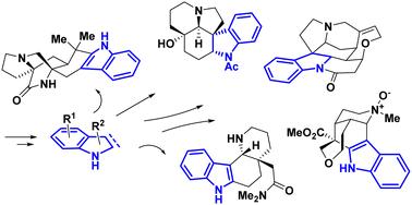 Recent strategy for the synthesis of indole and indoline skeletons in natural products