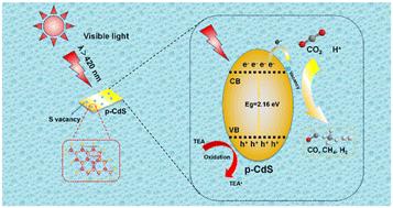 Morphological regulation of sulfur-vacancy-rich CdS for tunable CO2 photoreduction under visible light irradiation†