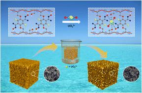 Regenerable and stable conductive topo-polymers for selective uranium extraction†