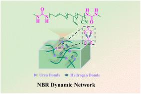 High-performance, recyclable, and multifunctional nitrile butadiene rubber based on hydrogen and urea bonds†