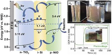 High-performance silicon-based n–i–p heterojunction photoanode for efficient photoelectrochemical water splitting: fabrication, optimization, and large-scale application†