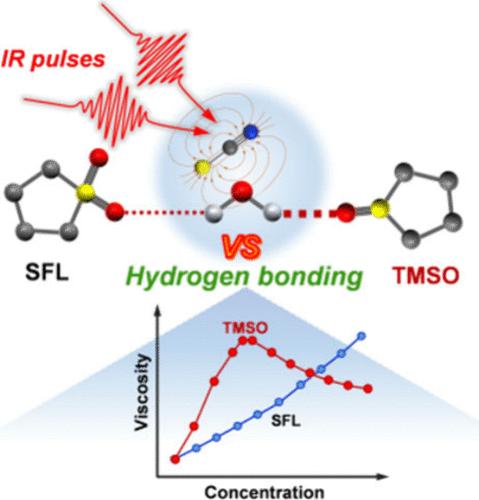 Correlating Viscosity Trends and Ultrafast Structural Dynamics in TMSO–Water and SFL–Water Binary Mixtures