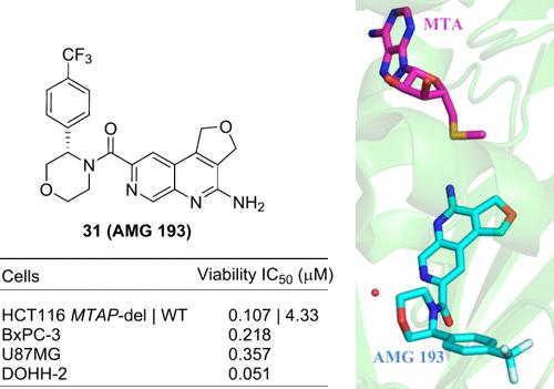Discovery of AMG 193, an MTA-Cooperative PRMT5 Inhibitor for the Treatment of MTAP-Deleted Cancers