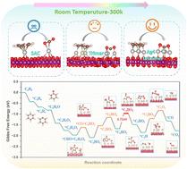 First-principles methods for unraveling the structure–catalytic activity relationship and mechanism of δ-MnO2-supported metal cluster catalysts in ambient temperature benzene to CO2 degradation†
