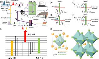 Advances in hot carrier relaxation dynamics of perovskites with ultrafast time-resolved detection