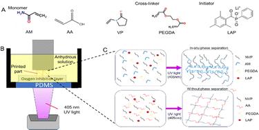 Digital light processing 3D printing of high-fidelity and versatile hydrogels via in situ phase separation†