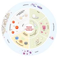 Ultrasound-responsive smart biomaterials for bone tissue engineering