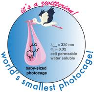 A structurally compact aqueous soluble oxypicolinium photocage with high photosensitivity†