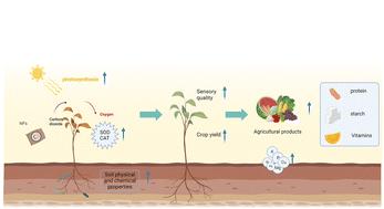 Enhancing crop yields and quality of agricultural products: research progress in nanofertilizer applications