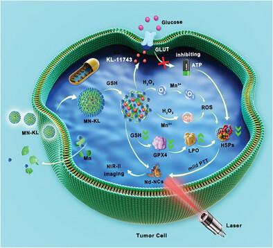 ATP-Exhausted Strategy Induced Anti-Tumor Low-Temperature Photothermal Therapy Based on Rare Earth Nanocrystals Modified Hollow Porous MnOx Nanozyme with TME-Activated NIR-II Imaging