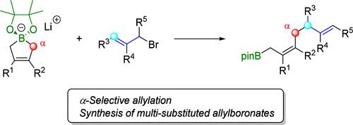 Regioselective α-Allylation of Cyclic Allylborates with Allylic Bromides