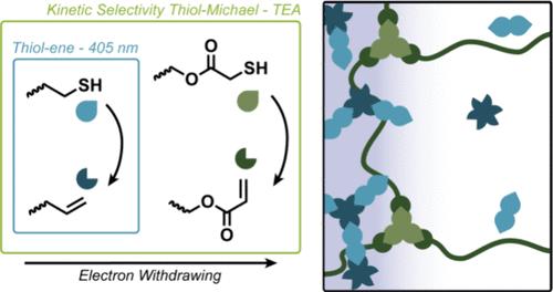Holographic Photopolymers via Two-Stage Orthogonal Thiol-Click Chemistries Leveraging Kinetic Selectivity