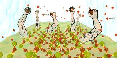 Molecular perspective: study on the adsorption behavior of Ni2+ in solution on [001]-oriented and amorphous SiO2 surfaces