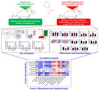 Benzoic acid as a dietary supplement mitigates inflammation and intestinal injury in acute enterotoxigenic Escherichia coli-infected mice without adverse effects in healthy mice