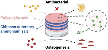 Layer-by-layer assembly of chitosan quaternary ammonium salt/polyacrylic acid-Zn2+ as a titanium dental implant coating with prominent antibacterial and osteogenic activities†