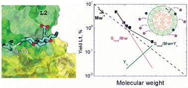 Factors modulating the hydrolysis of Nylon-6,6 by a nylon hydrolase enzyme†
