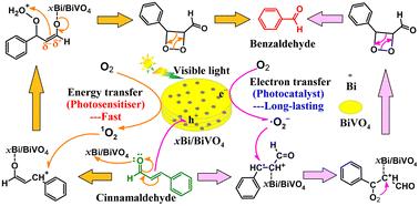 In situ synthesis of dual-functional photocatalyst xBi0/BiVO4 for the selective oxidation of cinnamaldehyde to benzaldehyde under visible light using oxygen†