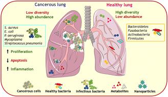 Strategic use of nanomaterials as double-edged therapeutics to control carcinogenesis via regulation of dysbiosis and bacterial infection: current status and future prospects