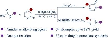 A novel strategy for alkylation via amide activation: synthesis of N-substituted 2-pyridones and tetrahydropyridines†