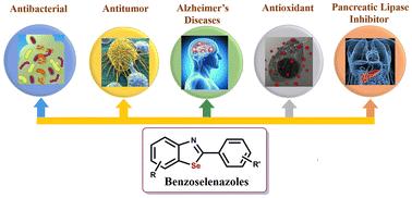 A review on benzoselenazoles: synthetic methodologies and potential biological applications