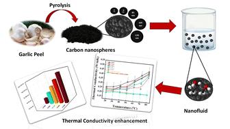 Unlocking efficiency: experimental and theoretical insights into biomass-derived carbon nanofluids with enhanced thermal conductivity†