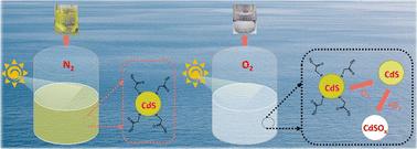 Unraveling the role of superoxide radicals in CdS quantum dot instability†