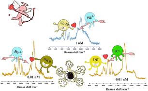 SERS and DFT studies of highly sensitive detection of trace nitro-explosives assisted by alkali ions†