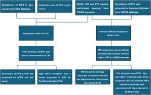 IRF4 as a molecular biomarker in pan-cancer through multiple omics integrative analysis†