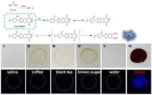 A novel luminol-related hydroxyphenyl benzothiazole analogue chemiluminescence probe with ultrahigh sensitivity for bloodstain detection†