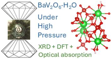 High-pressure study of barium metavanadate monohydrate
