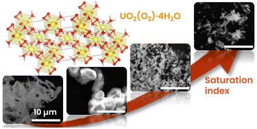 Precipitation of morphology-controlled uranium(vi) peroxide in nitric acid media†