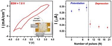 A 7.5 V window dual-functional planar micro-device based on a biopolymer ionogel electrolyte for charge storage and neuromorphic computing†