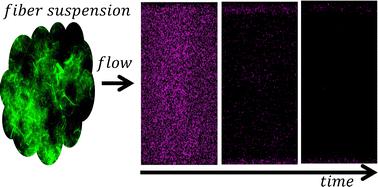Microfiber suspensions for the removal of adhered colloids from surfaces, microdevices, and cavities