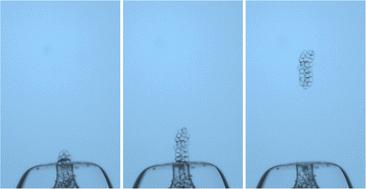 Abstract Image