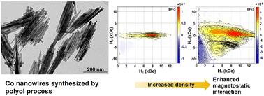 Angular dependence and proximity effect of dense arrays of cobalt nanowires as rare-earth-free permanent magnets