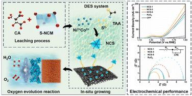 Efficient metal recovery and electrocatalyst fabrication from spent lithium-ion batteries via green solvent extraction†